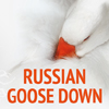 RUSSIAN GOOSE DOWN